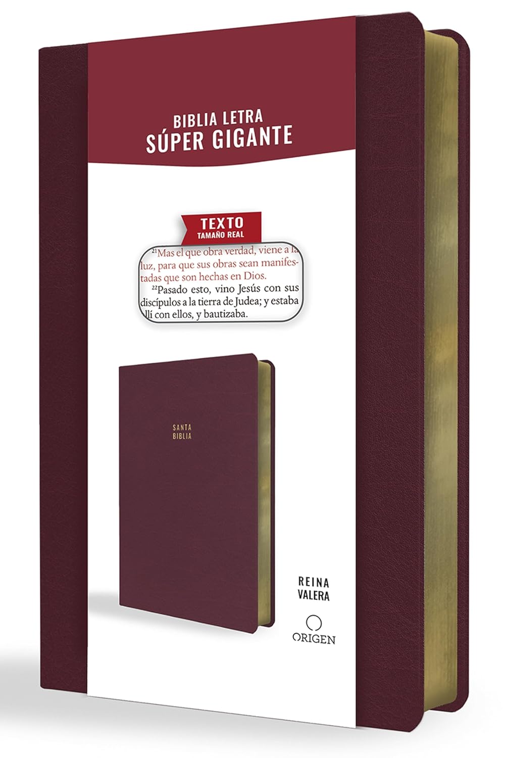 RV 1909 Biblia Letra Súper Gigante