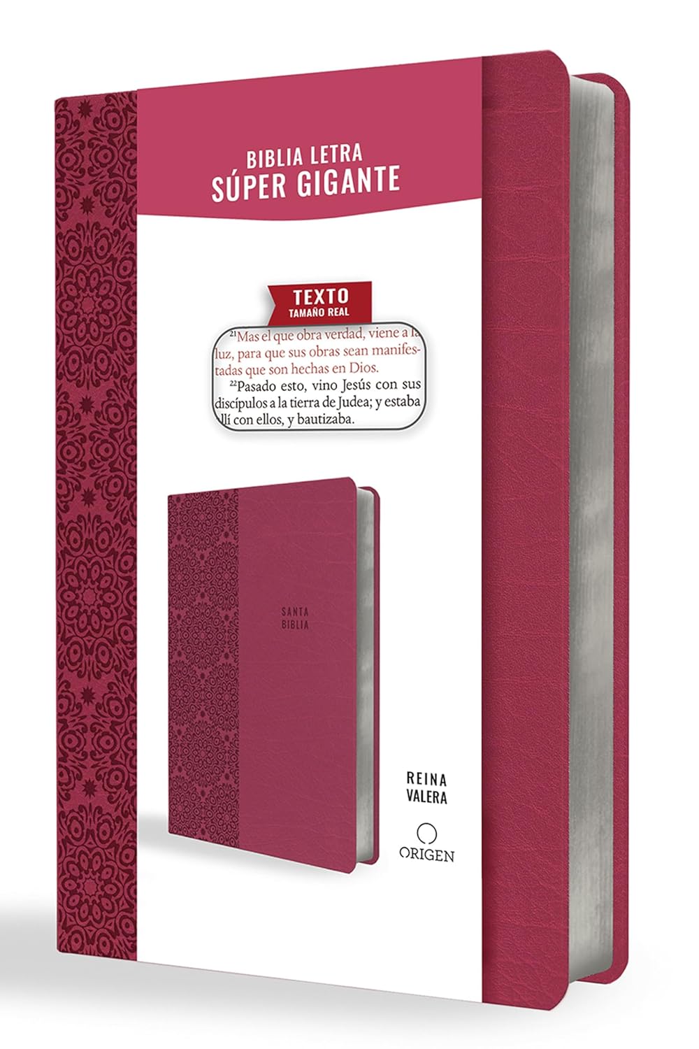 RVR 1960 Biblia Letra Súper Gigante