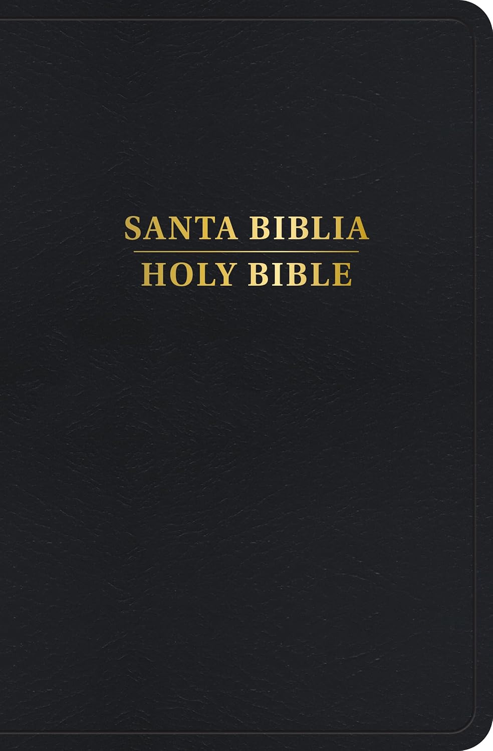 RVR 1960/KJV Biblia Bilingüe