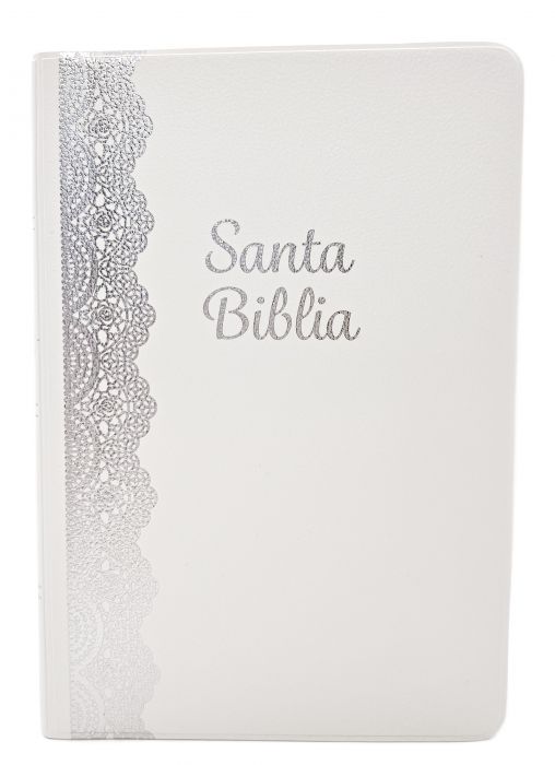 RVR 1960 Biblia Tamaño Manual Letra Grande