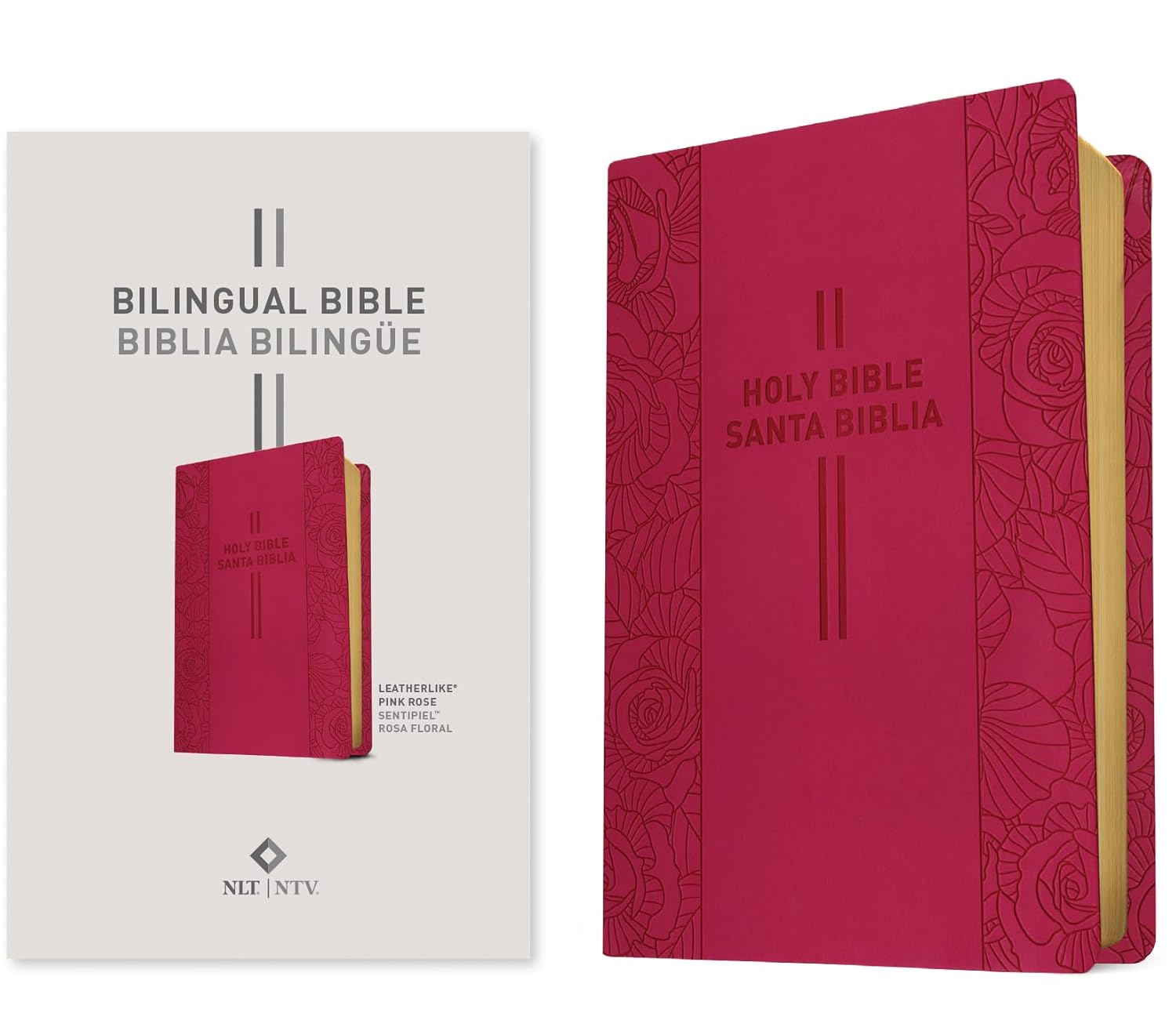 NLT/NTV Biblia Bilingüe