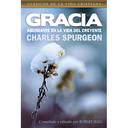 Gracia Abundante En La Vida Del Creyente