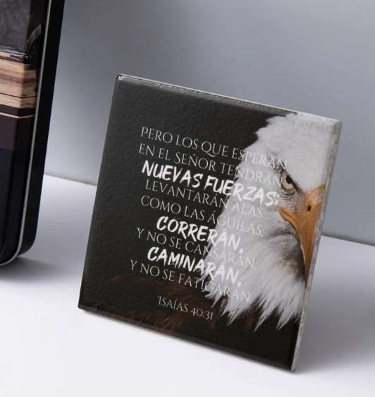 Placa de Cerámica Nuevas Fuerzas