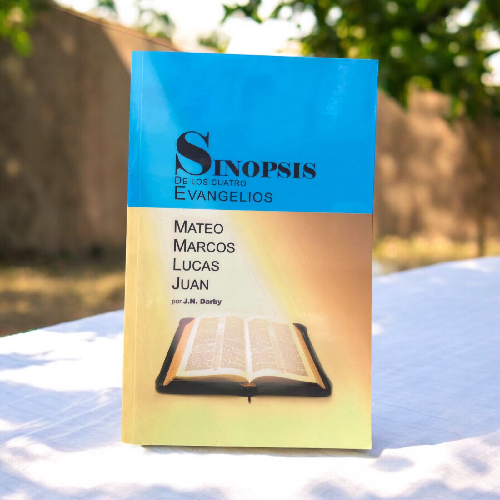 Sipnopsis de los Cuatro Evangelios