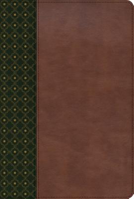 Biblia De Estudio Scofield Verde Oscuro Castaño
