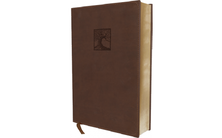 NVI Biblia Estudio La Justicia de Dios