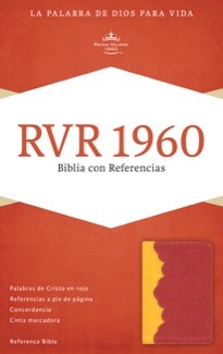 Biblia - Amarillo Rojo Ladrillo