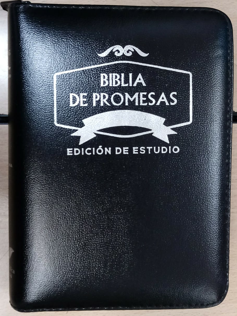 Biblia Tamaño 045 Promesas Negra