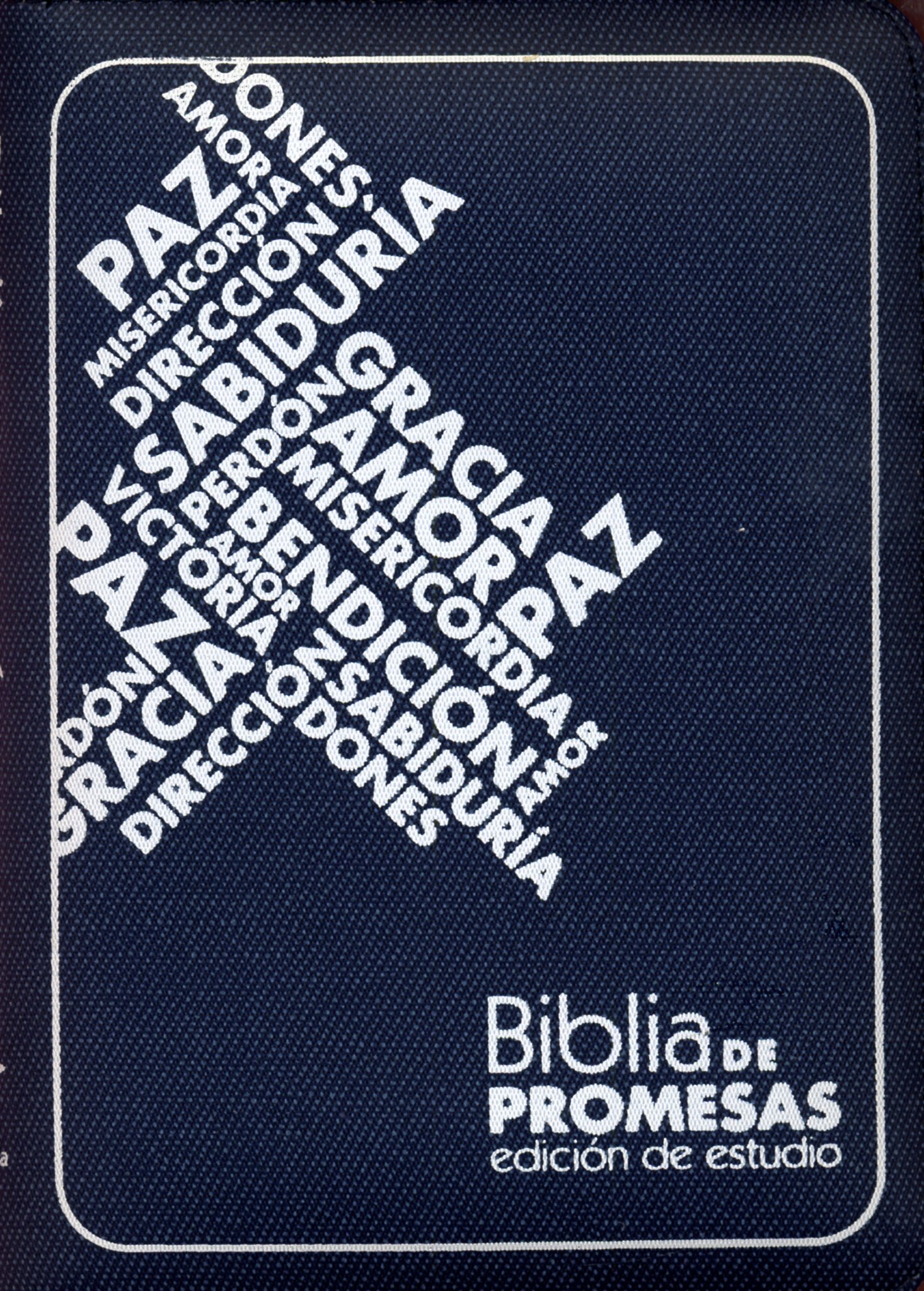 Biblia Estudio Promesas Azul tamaño 045
