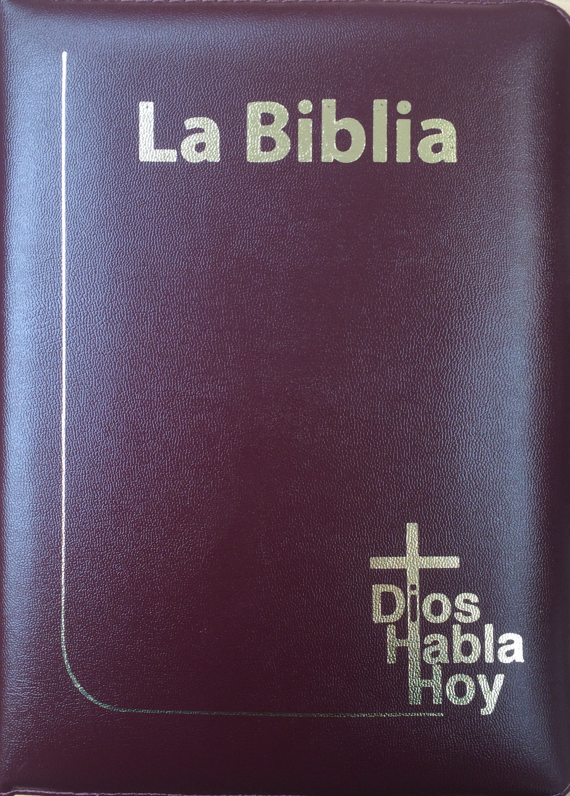Biblia DHH 085 DKZLGia Vino Canto Pintado Amarillo