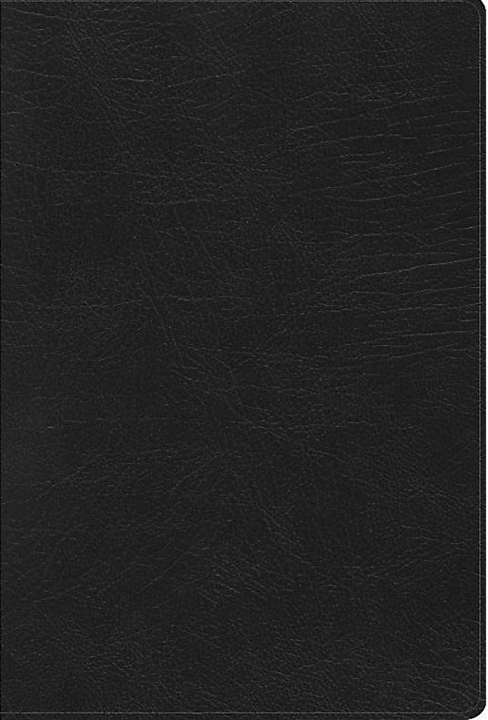 RVR60 Biblia de Estudio Arcoiris