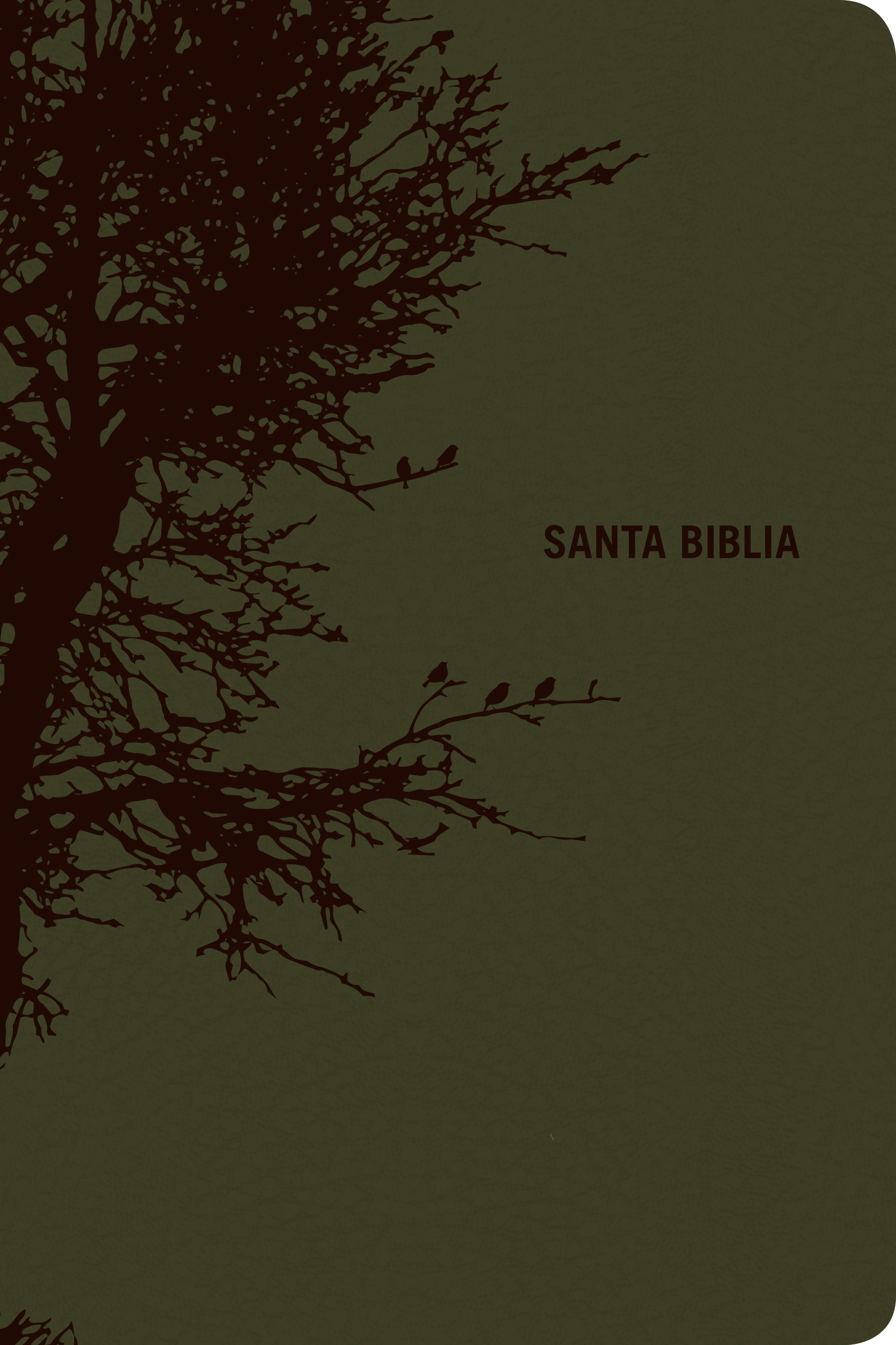 Biblia Edición Personal Letra Grande Verde Olivo