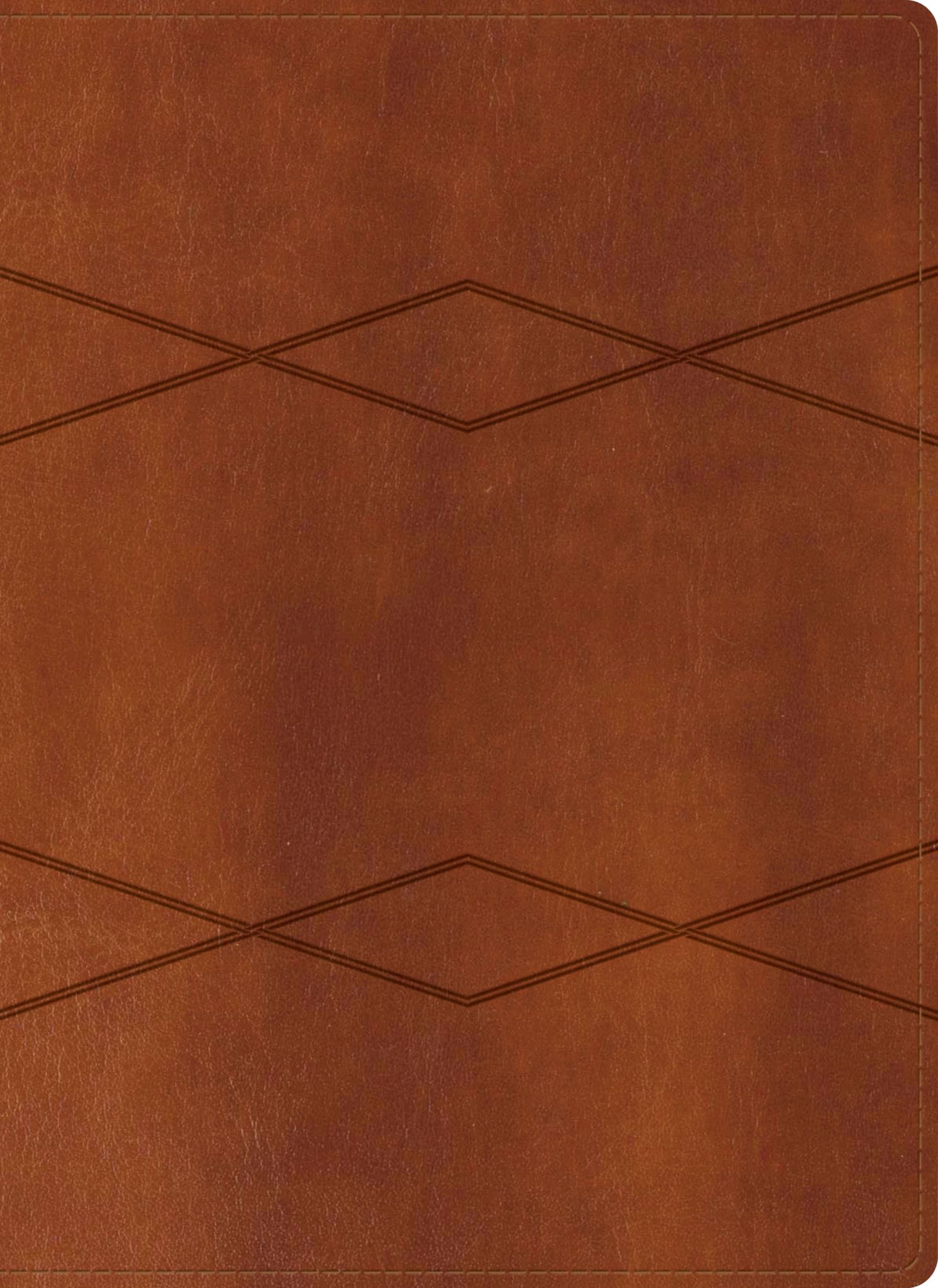 RVR60 Biblia de Estudio Holman Actualizada