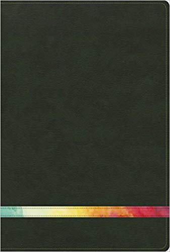 Biblia De Estudio Arco Iris Verde Oscuro Símil Piel