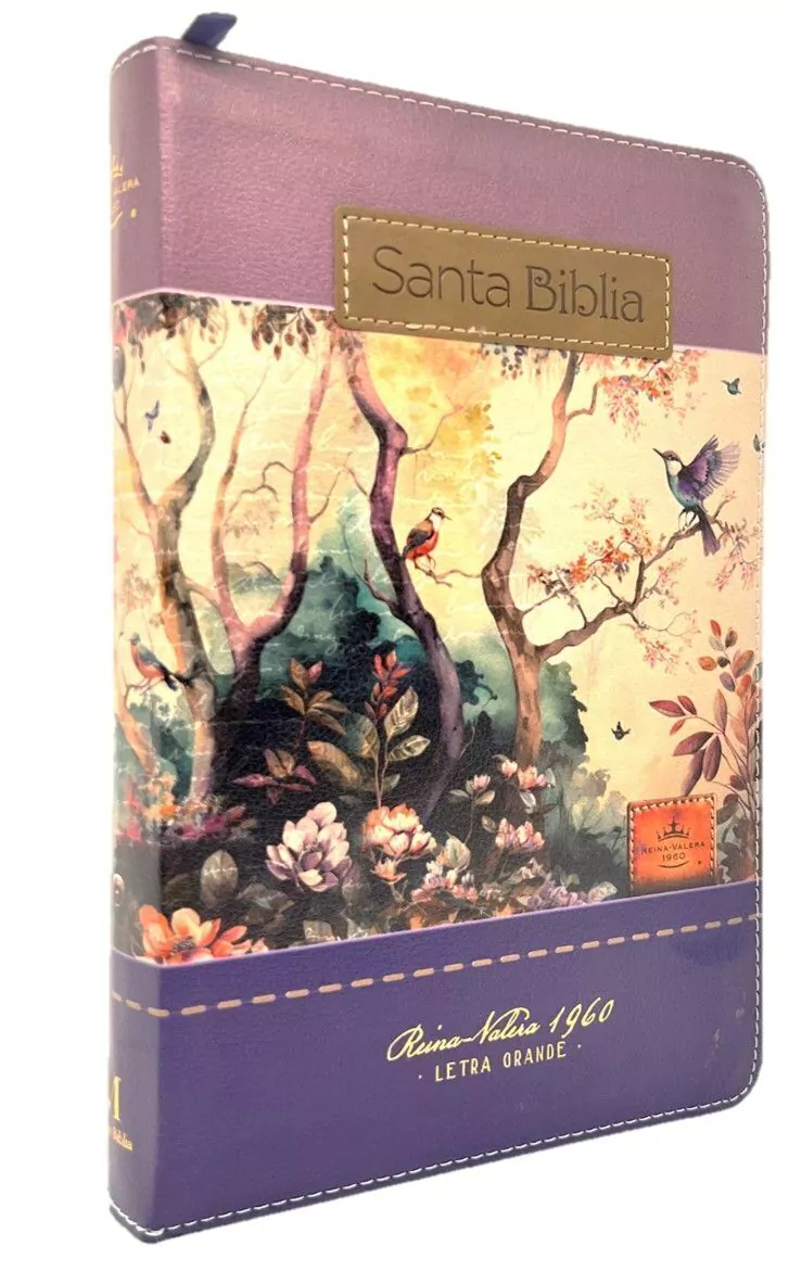 Biblia RVR60 065LG czti Tricolor Fantasia Lila Fantasia Morado