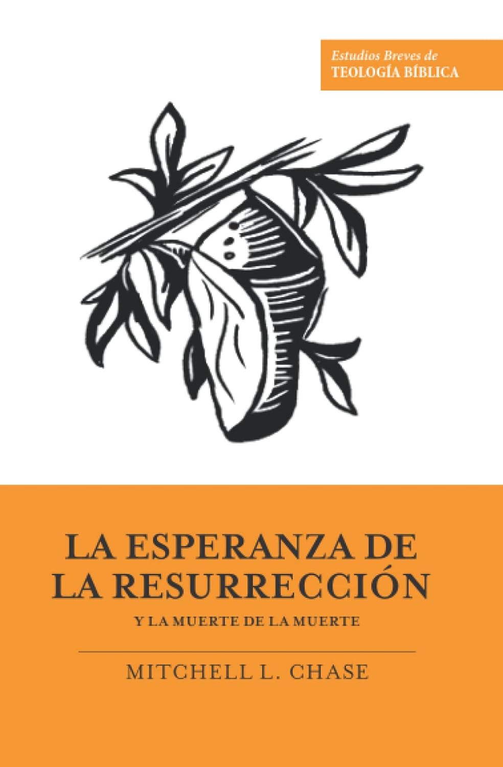 La Esperanza De La Resurrección