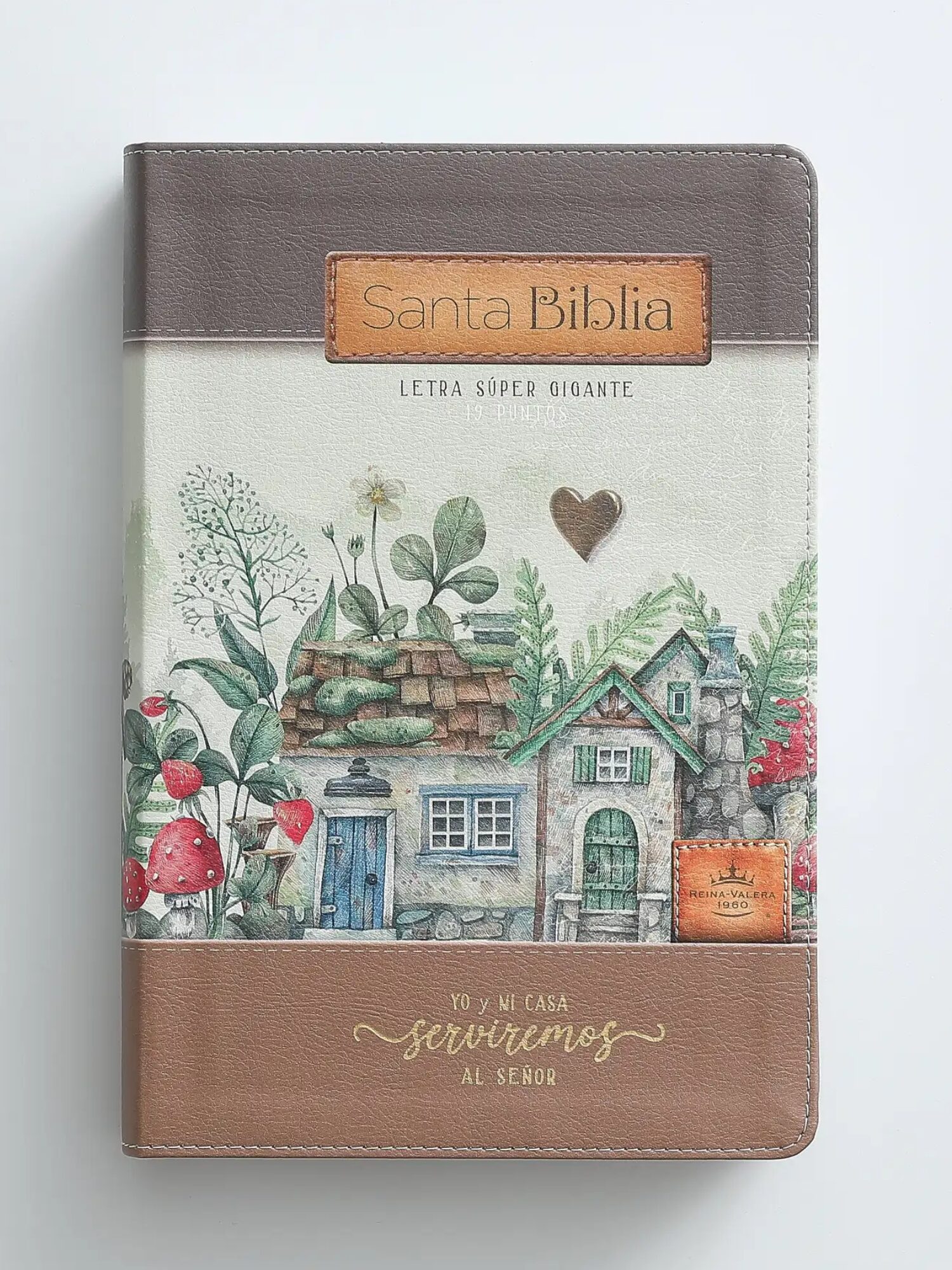 Biblia RVR6088czti LSGi/ 19pts Sabiduria/ Cafe Casa/ Canto Pintado
