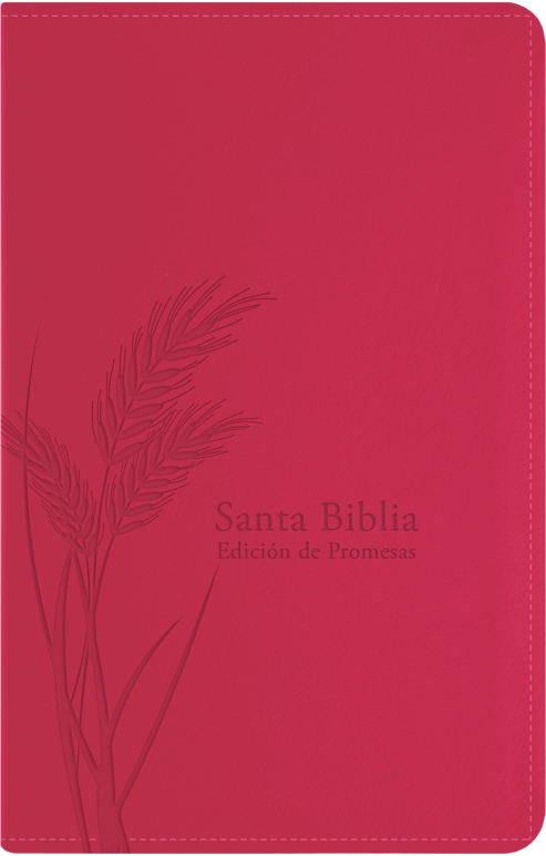 RVR60 Biblia de Promesas Manual con Cierre e Índice