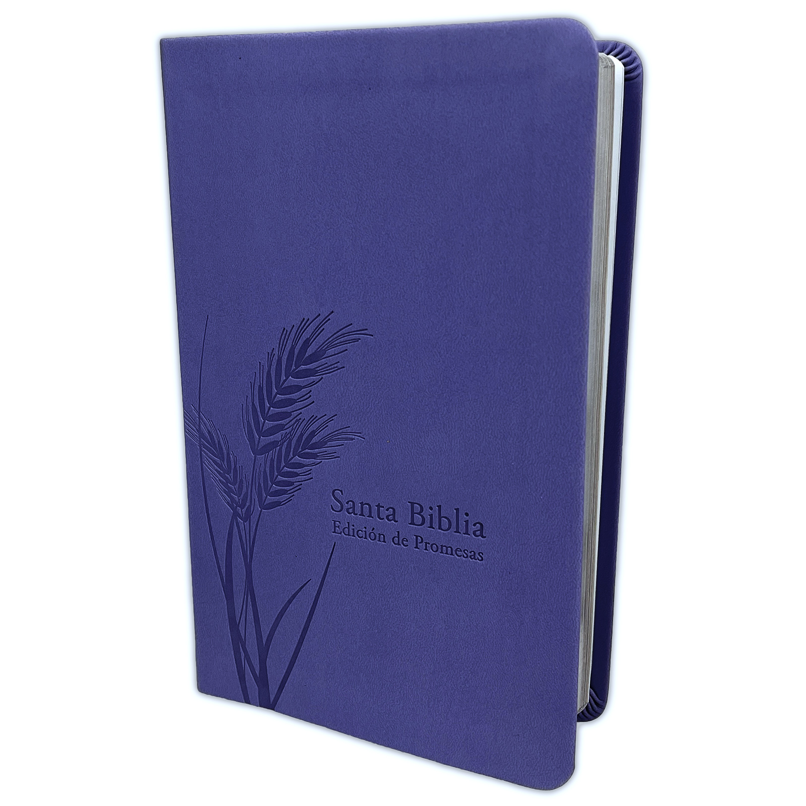 RVR 1960 Biblia de Promesas Letra Grande