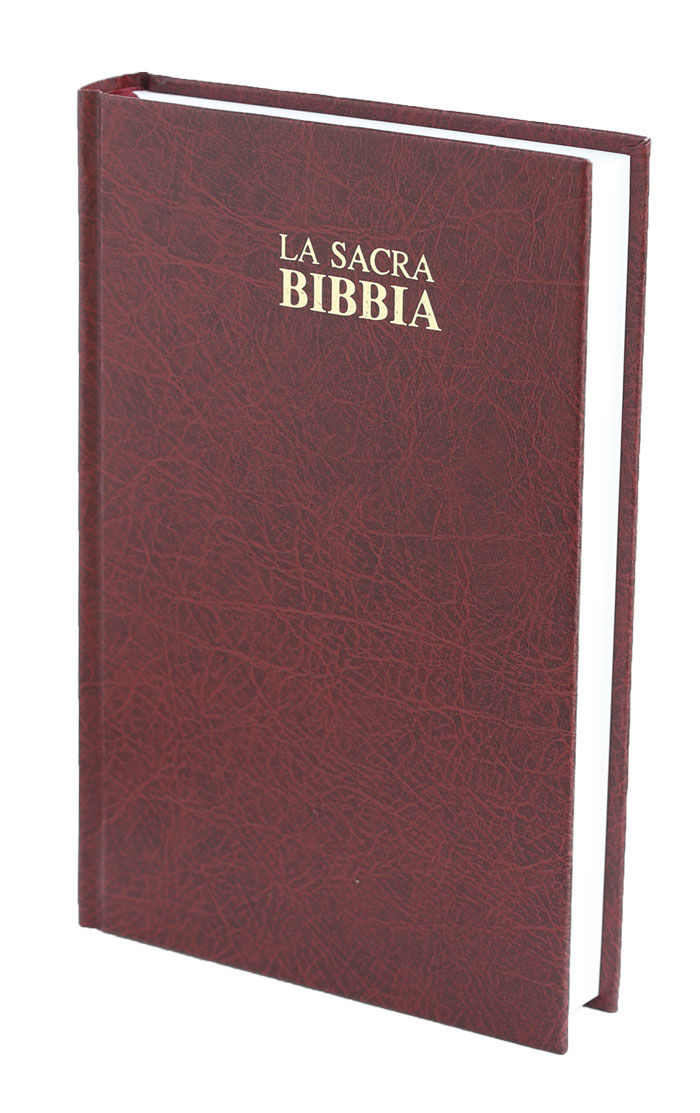 Bibbia Nuova Diodati - A03EO - Formato medio