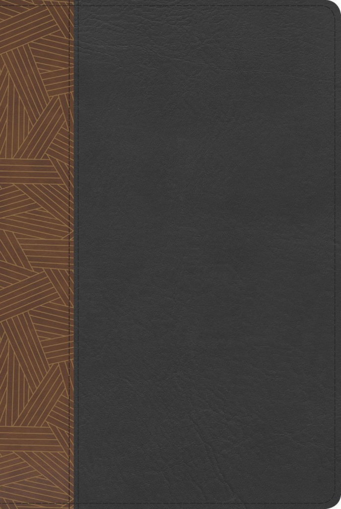 RVR60 Biblia de Estudio Arcoiris