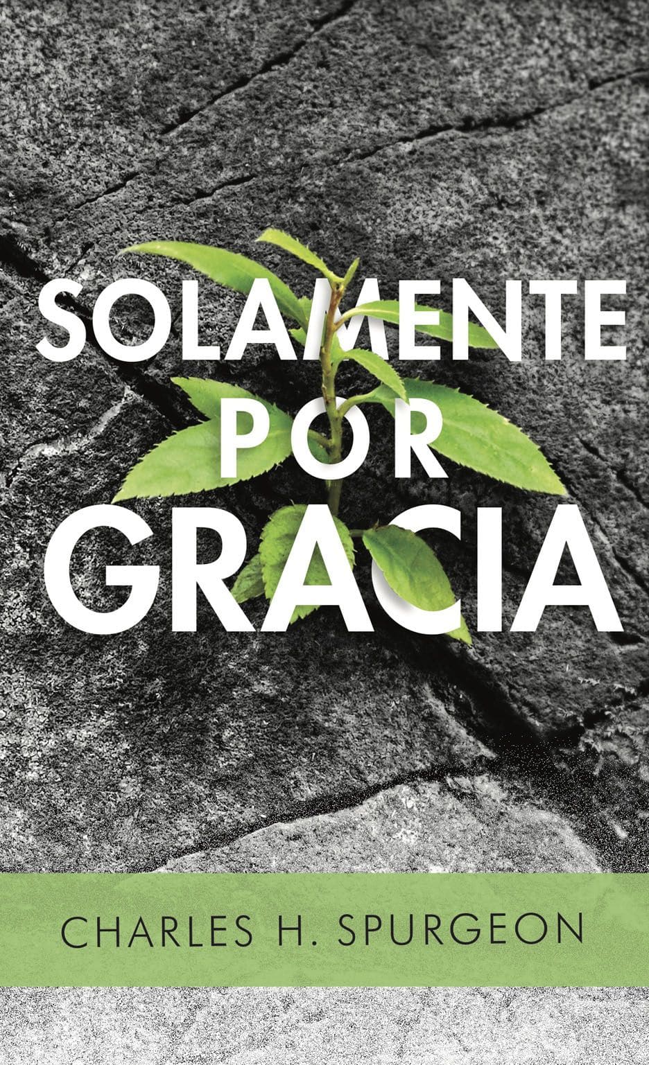 Solamente por Gracia