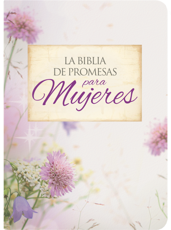 RVR 1960 Biblia de Promesas Letra Grande - Chica