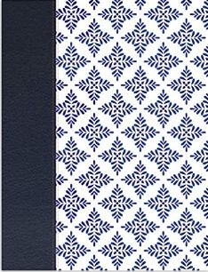 NVI Biblia de Apuntes