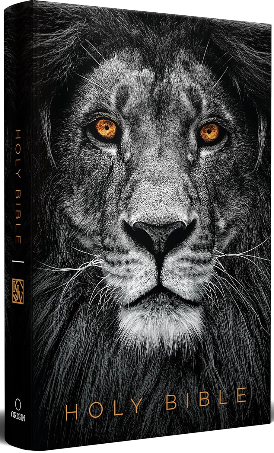Holy Bible KJV Inglés/ León De Juda Negro TD