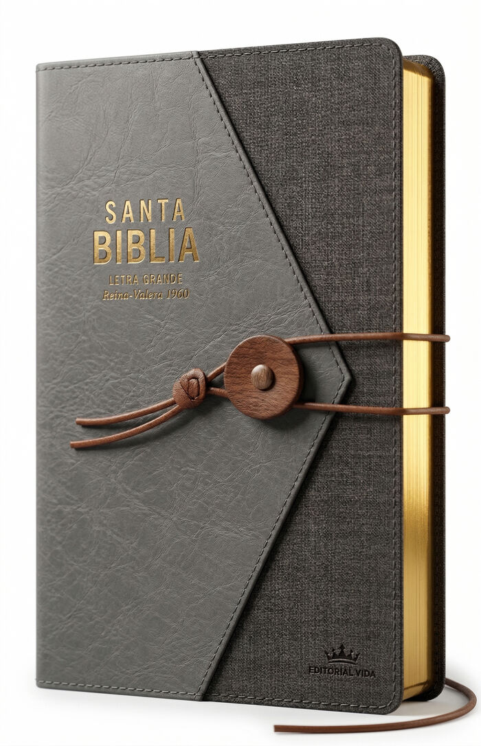 Biblia Vintage RVR60 Gris Negro