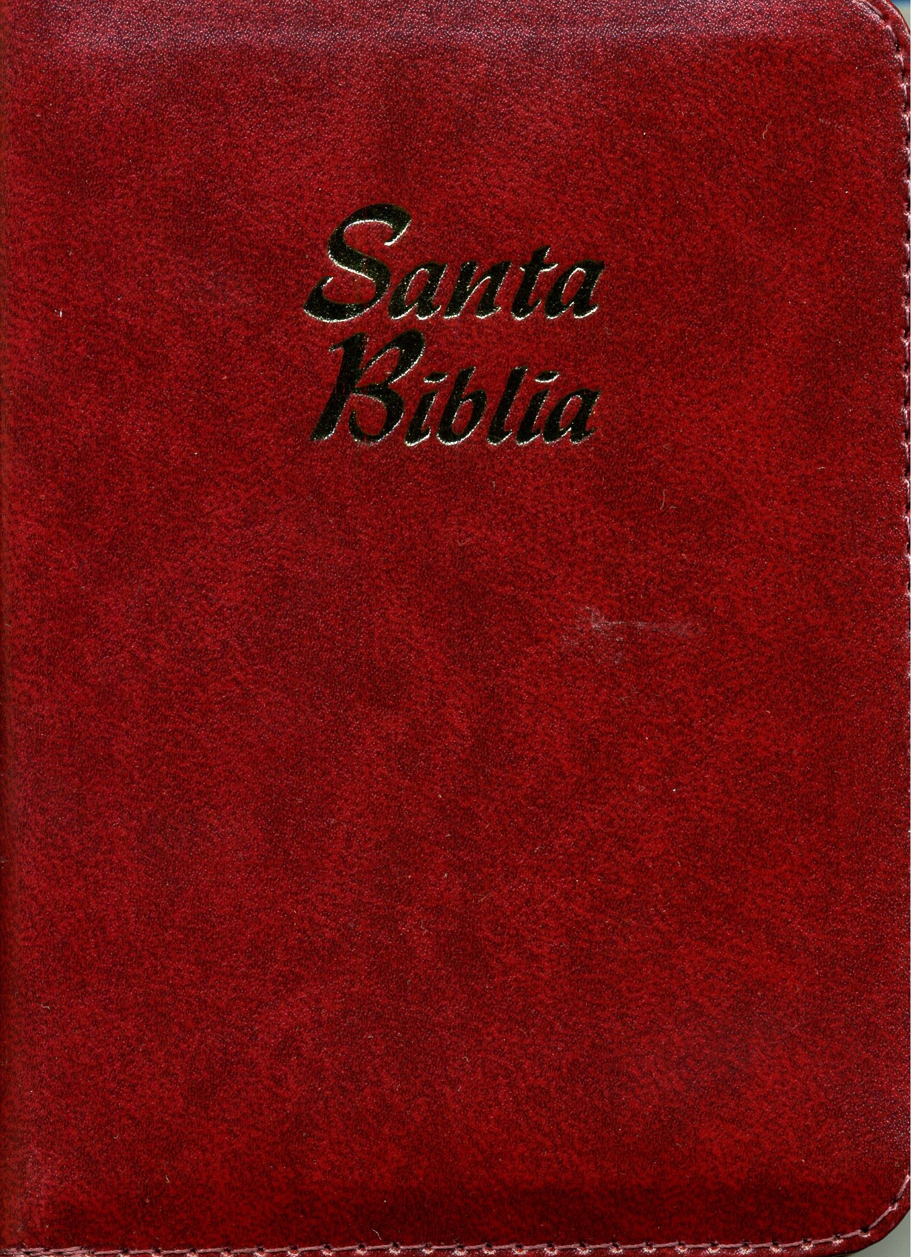 Biblia Tamaño025CIZ Concordancia Indice Vinotinto