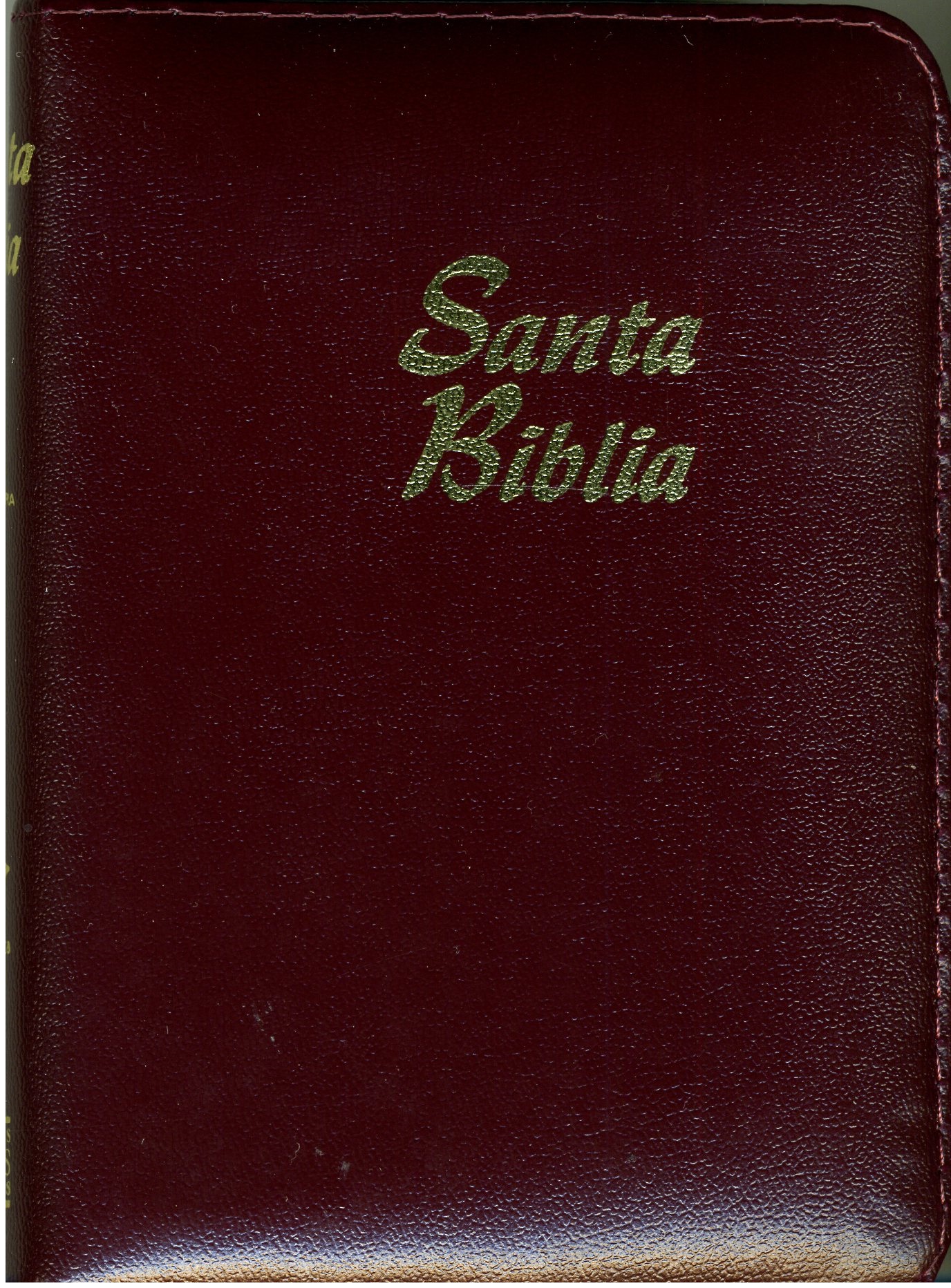 Biblia RVR60 Tamaño 25CZILG Indice