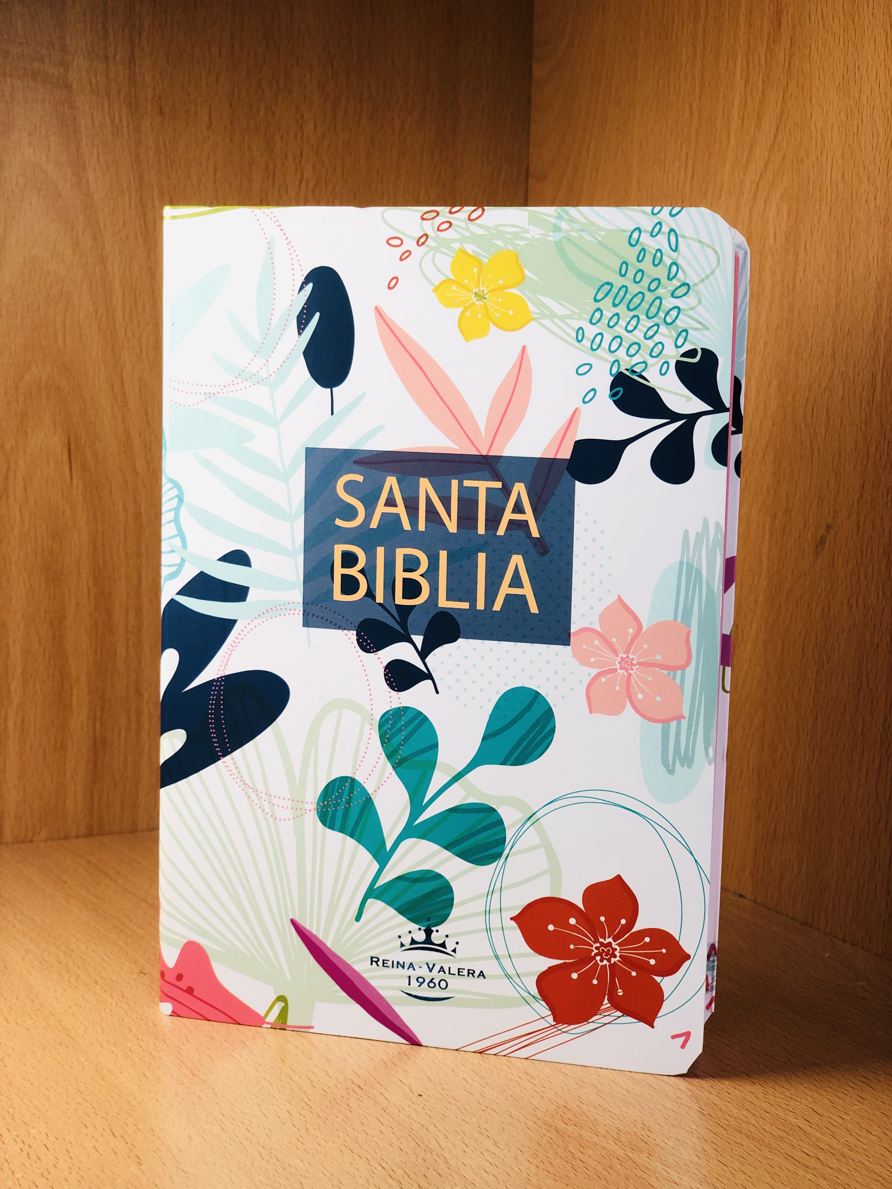 RVR 1960 Biblia Hojas Coloreada