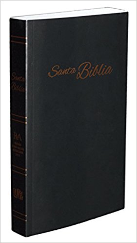 RVA 2015 Biblia Económica