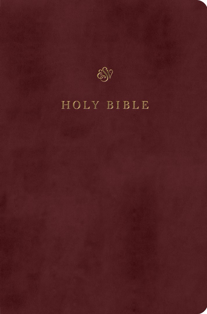 Angol Biblia English Standard Version (ESV) Gift and Award Bible, Burgundy