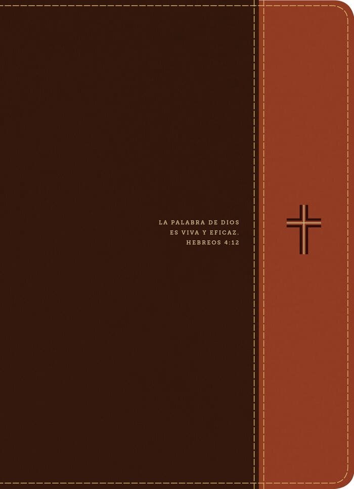 RVR60 Biblia de Estudio Diario Vivir Letra Grande con Índice