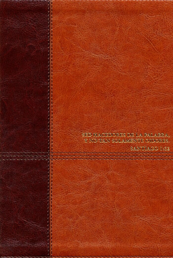 RVR60 Biblia de Estudio Diario Vivir con Índice