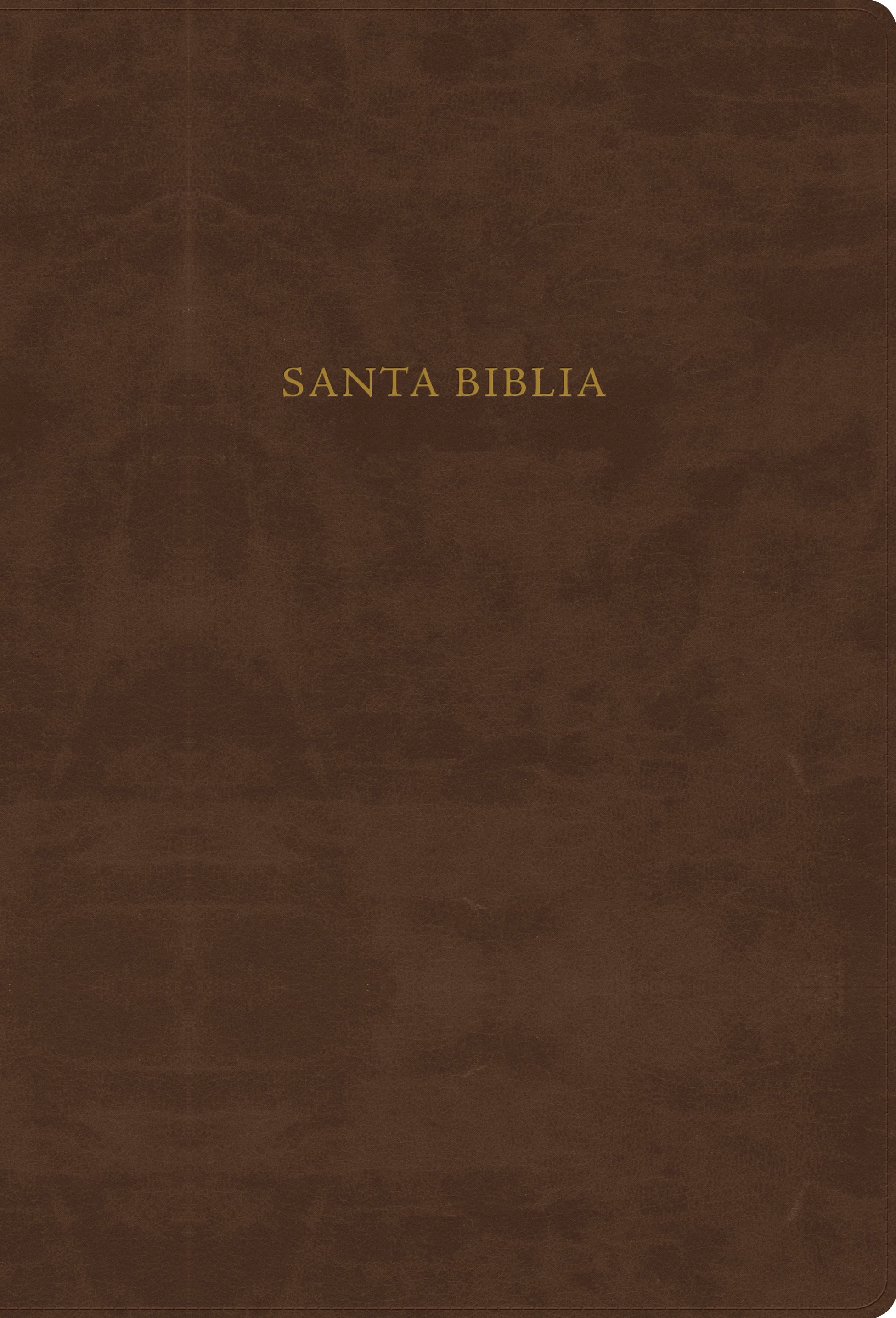 RVR60 Biblia de Estudio Scofield