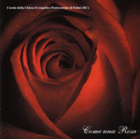 Come una rosa