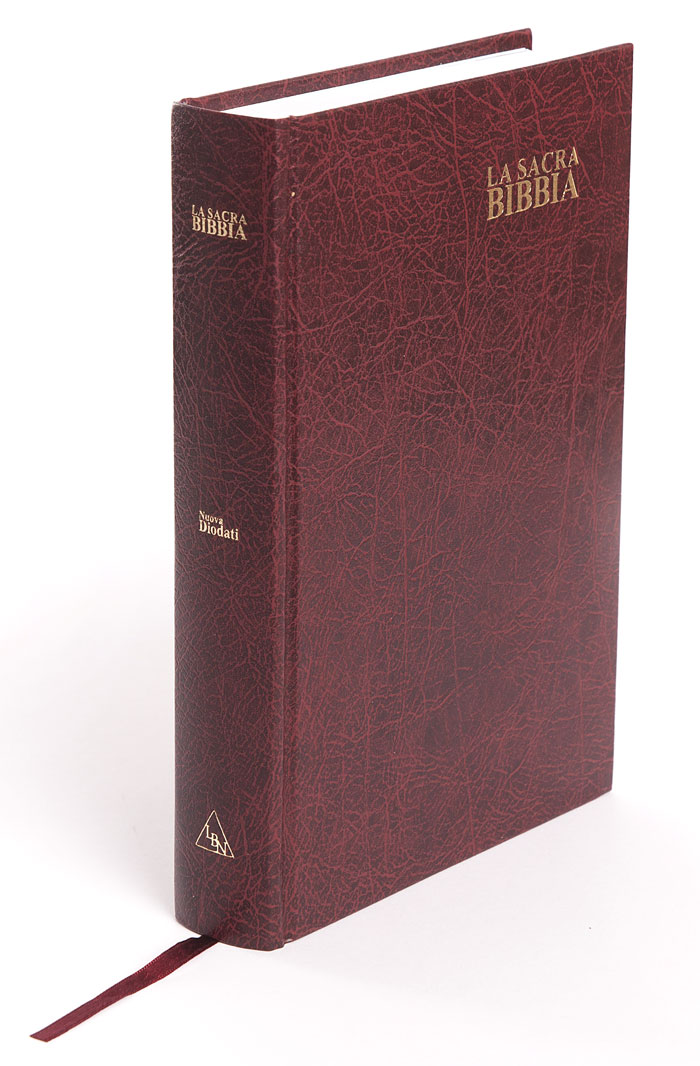Bibbia Nuova Diodati a caratteri grandi (171.241)