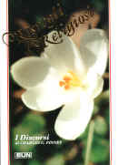 Risvegli religiosi