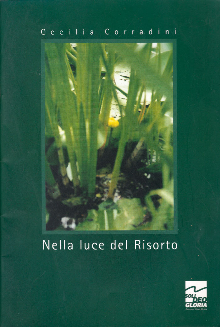 Nella luce del Risorto
