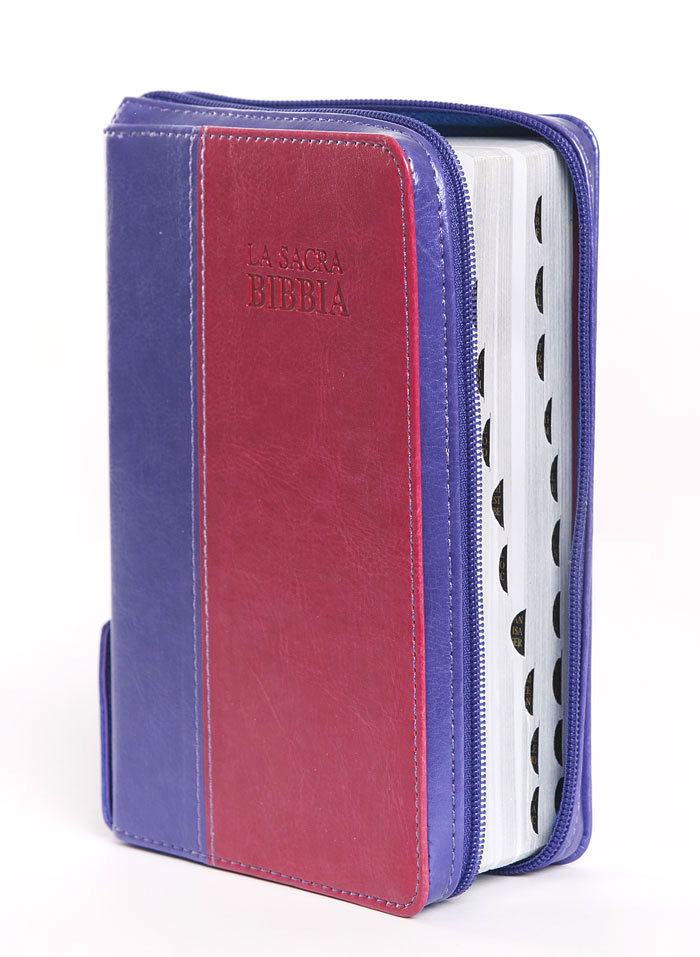Bibbia Nuova Diodati Viola/Rosa - Formato medio (171.250)