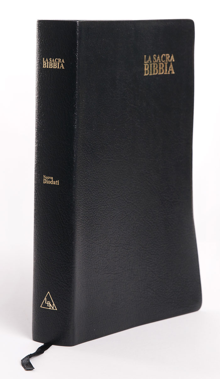 Bibbia Nuova Diodati a caratteri grandi (171.242)