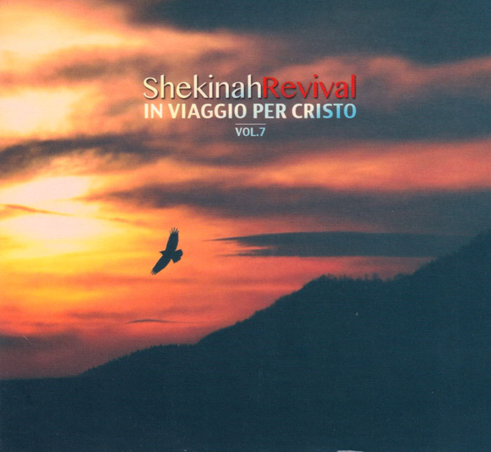 In viaggio per Cristo Vol. 7