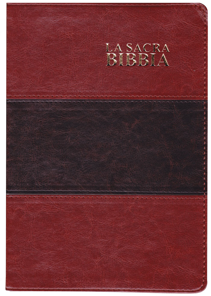 Bibbia Nuova Diodati a caratteri grandi (171.244)
