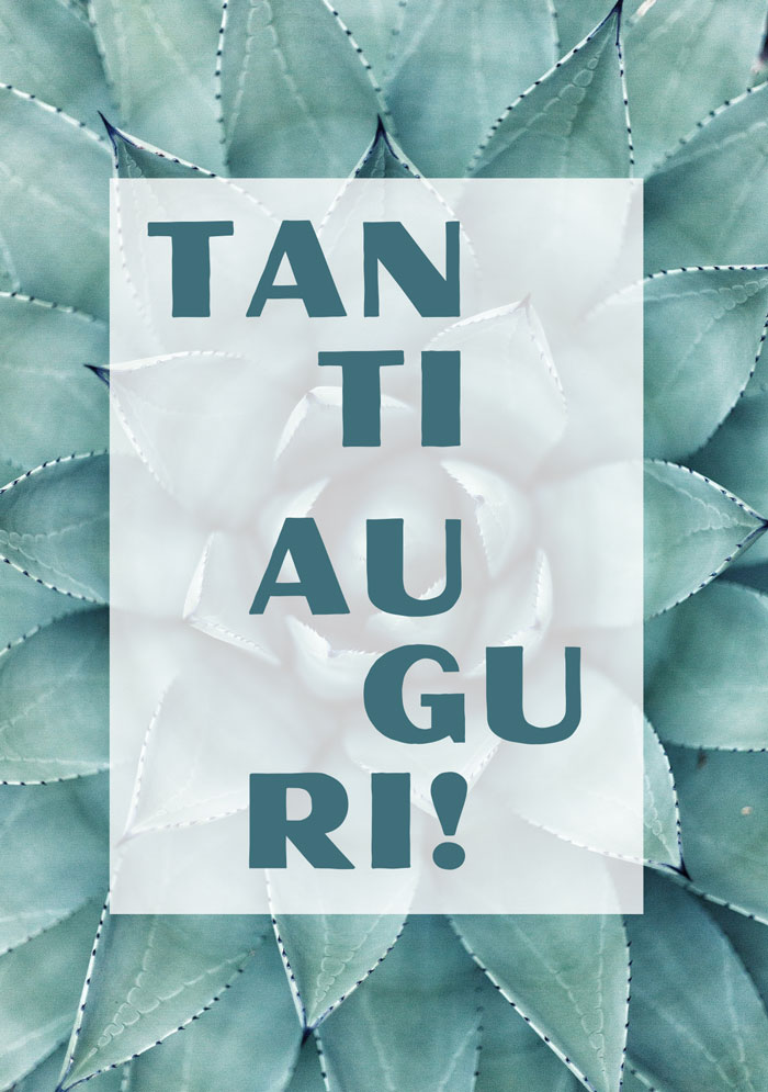 Biglietto Tanti auguri Numeri 6:24