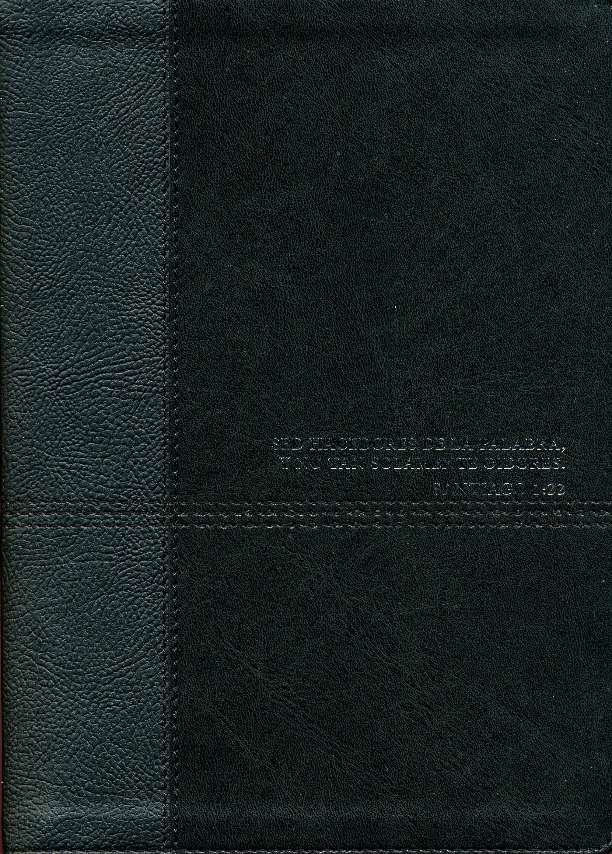 RVR60 Biblia de Estudio Diario Vivir Edición Aumentada