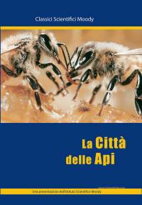 La città delle api