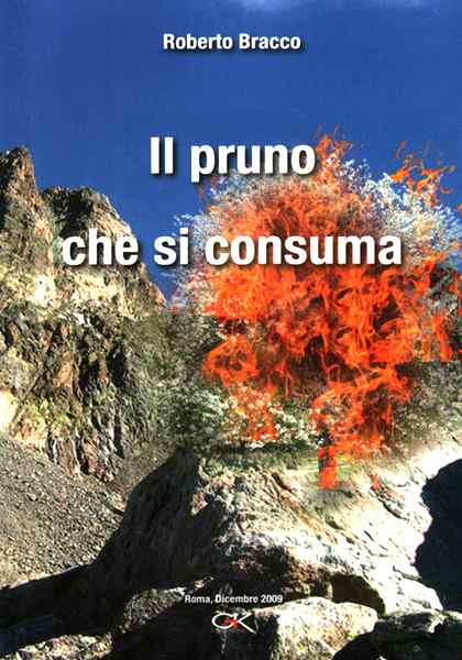 Il pruno che si consuma